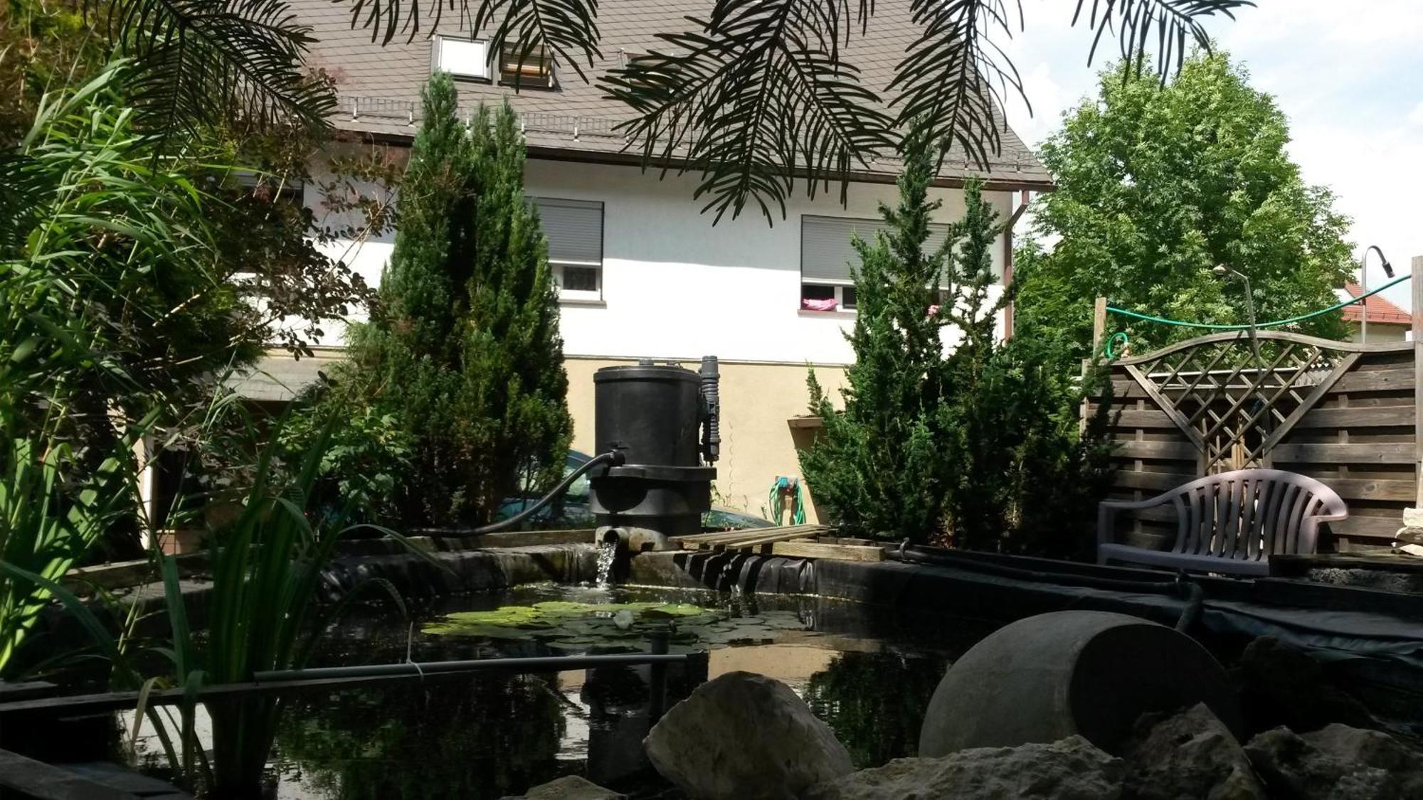 Haus Am Waldrand Apartment Freital Exterior photo